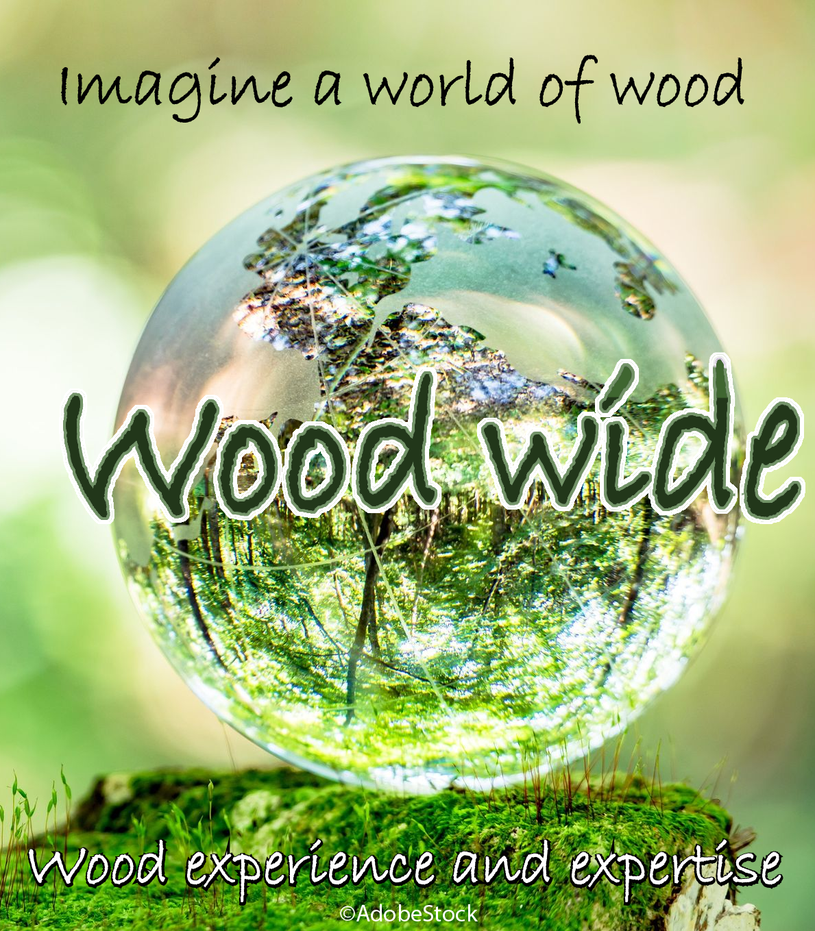 Wood Wide SRL